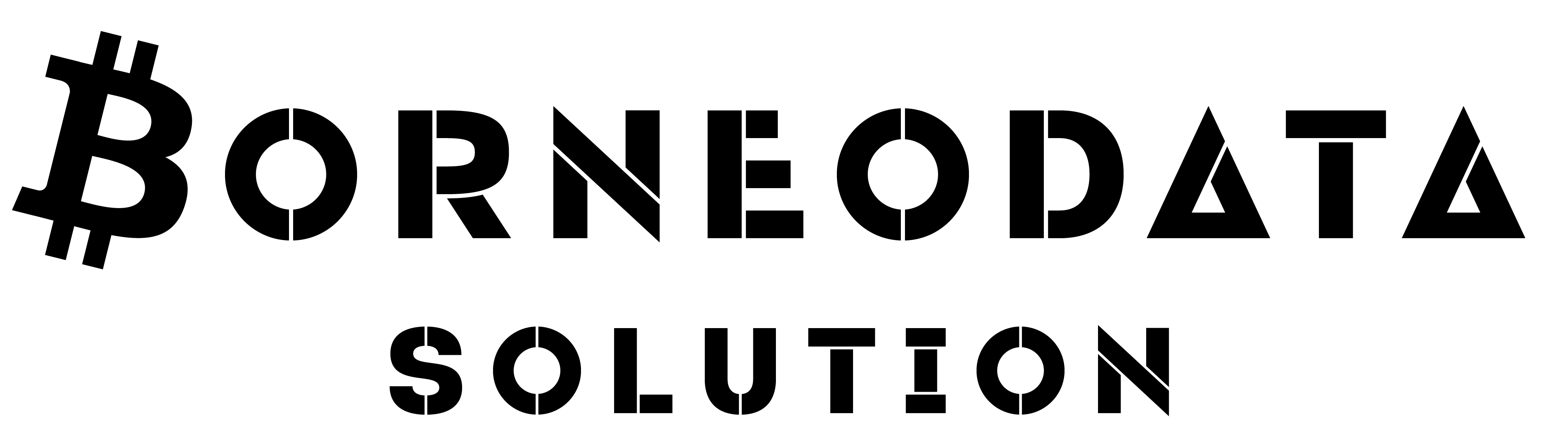 Borneo Data Solution Logo-02